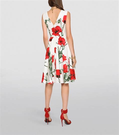 dolce gabbana cocktail print dress|dolce and gabbana formal dresses.